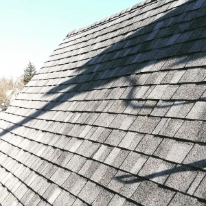 moose jaw roofing-shingles